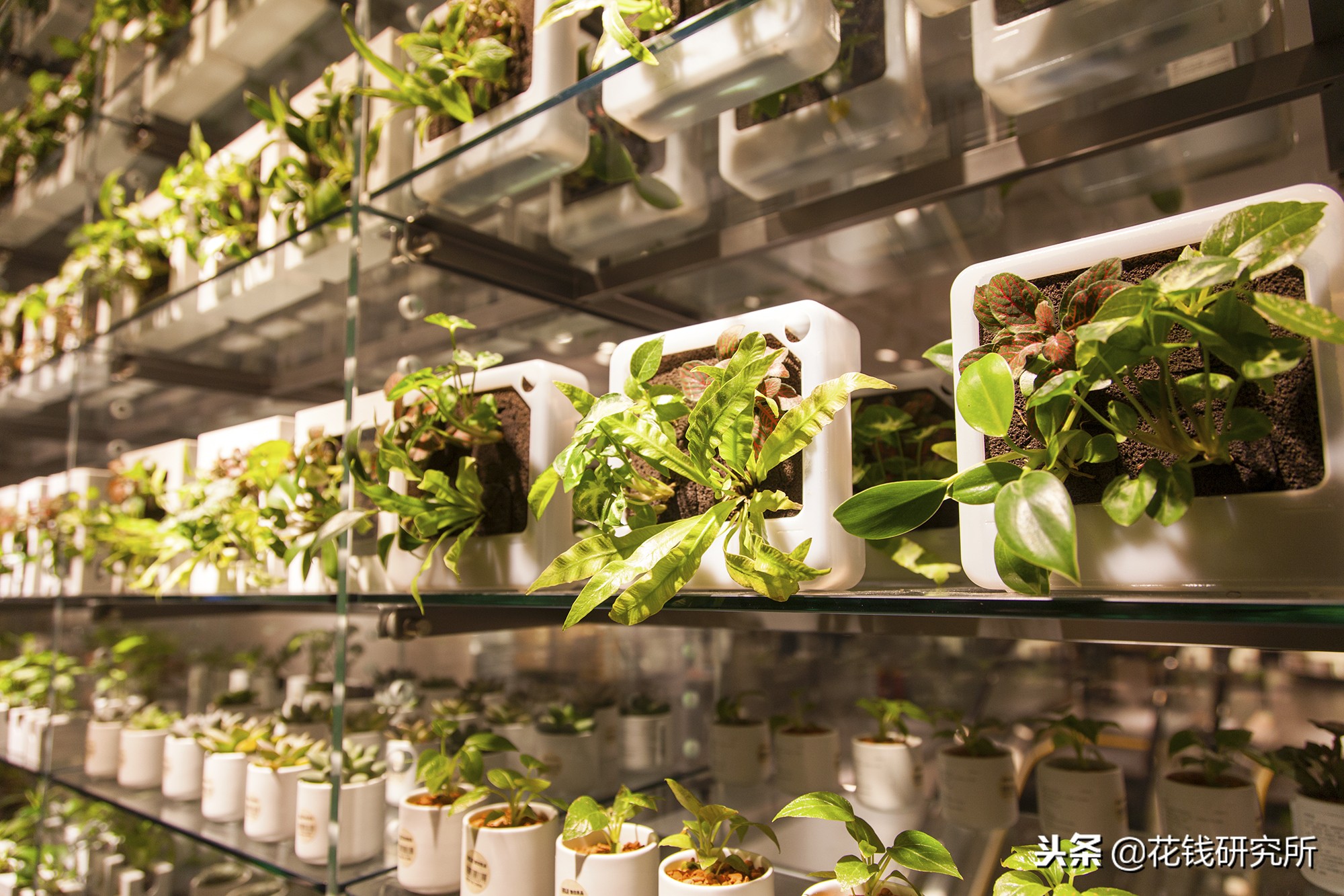 郑州muji世界旗舰店,全球第二家muji世界级旗舰店