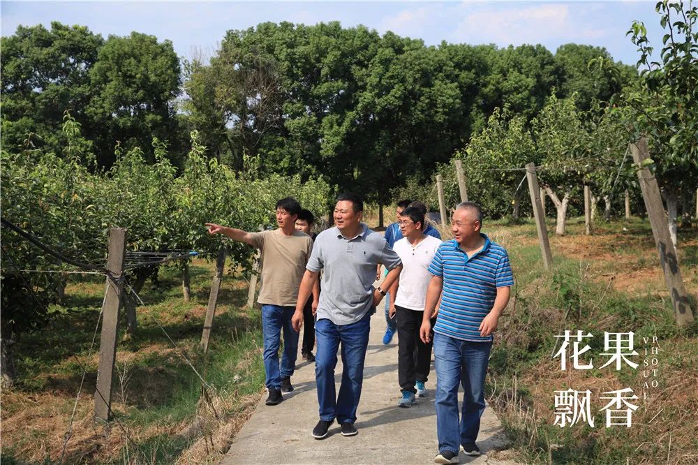 农业十个投资九个坑,农业有很多坑