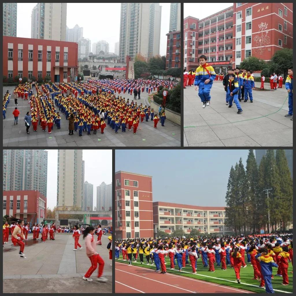 让艺术之花绽放光彩,让健康之花在心底绽放作文