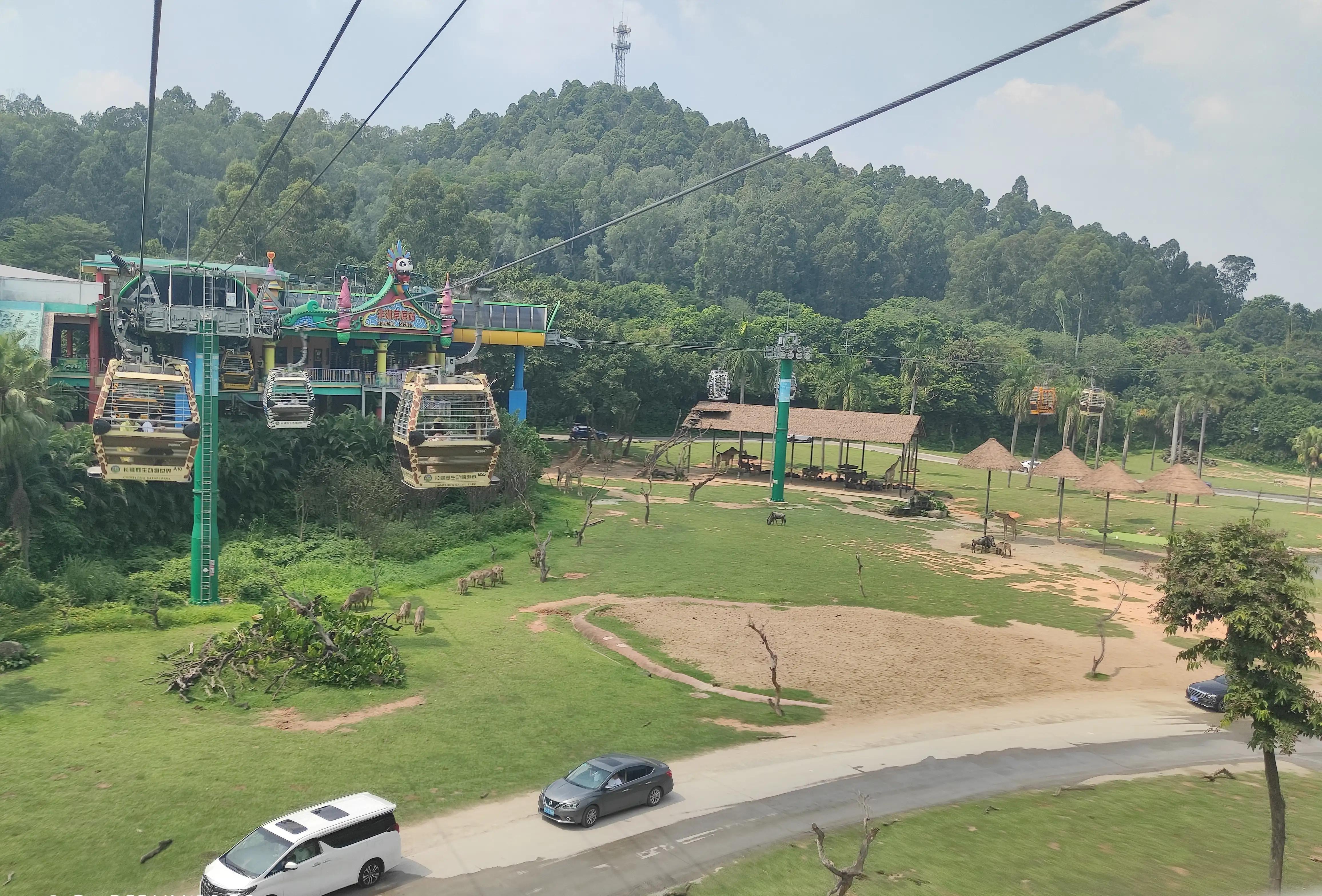 外地人去长隆野生动物园攻略,住在广州长隆野生动物园攻略