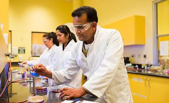 留学资讯如何选择,中澳2024年专业