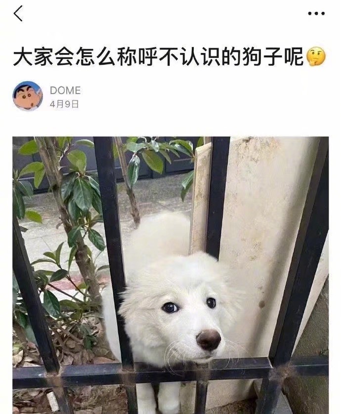 开心一刻小兔请老虎吃饭,开心一刻兔子买萝卜