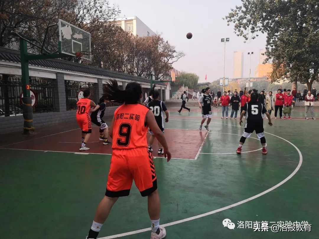 洛阳中小学阳光体育运动会,洛阳市中小学阳光体育田径运动会