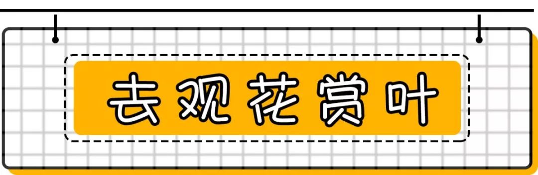 去北京不可错过的地方,不去热门景点游北京