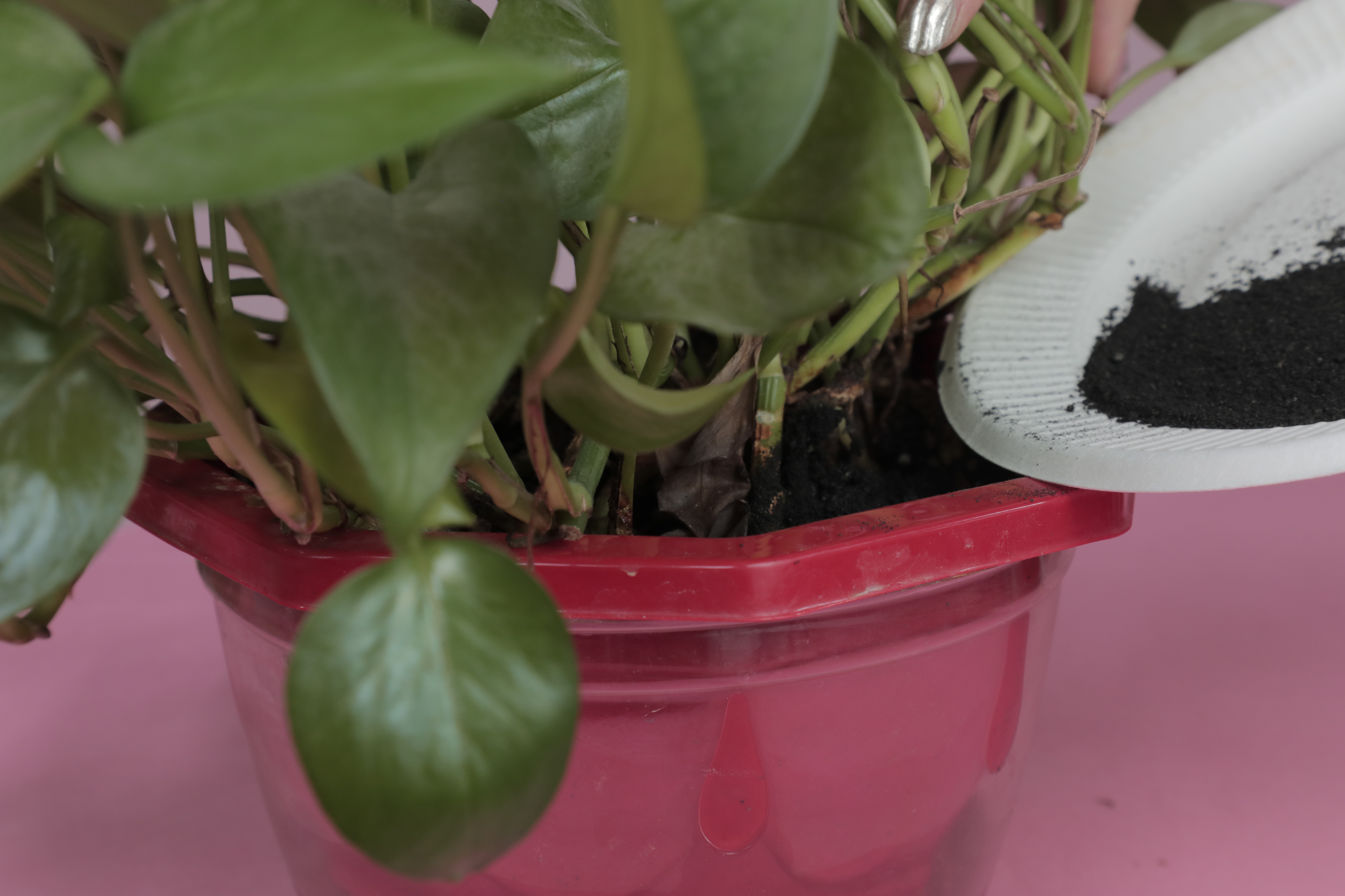 经常用的暖宝宝,如何正确用暖宝宝