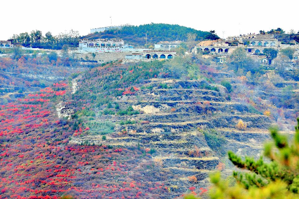 太原去哪里看秋景,太原的秋景有哪些