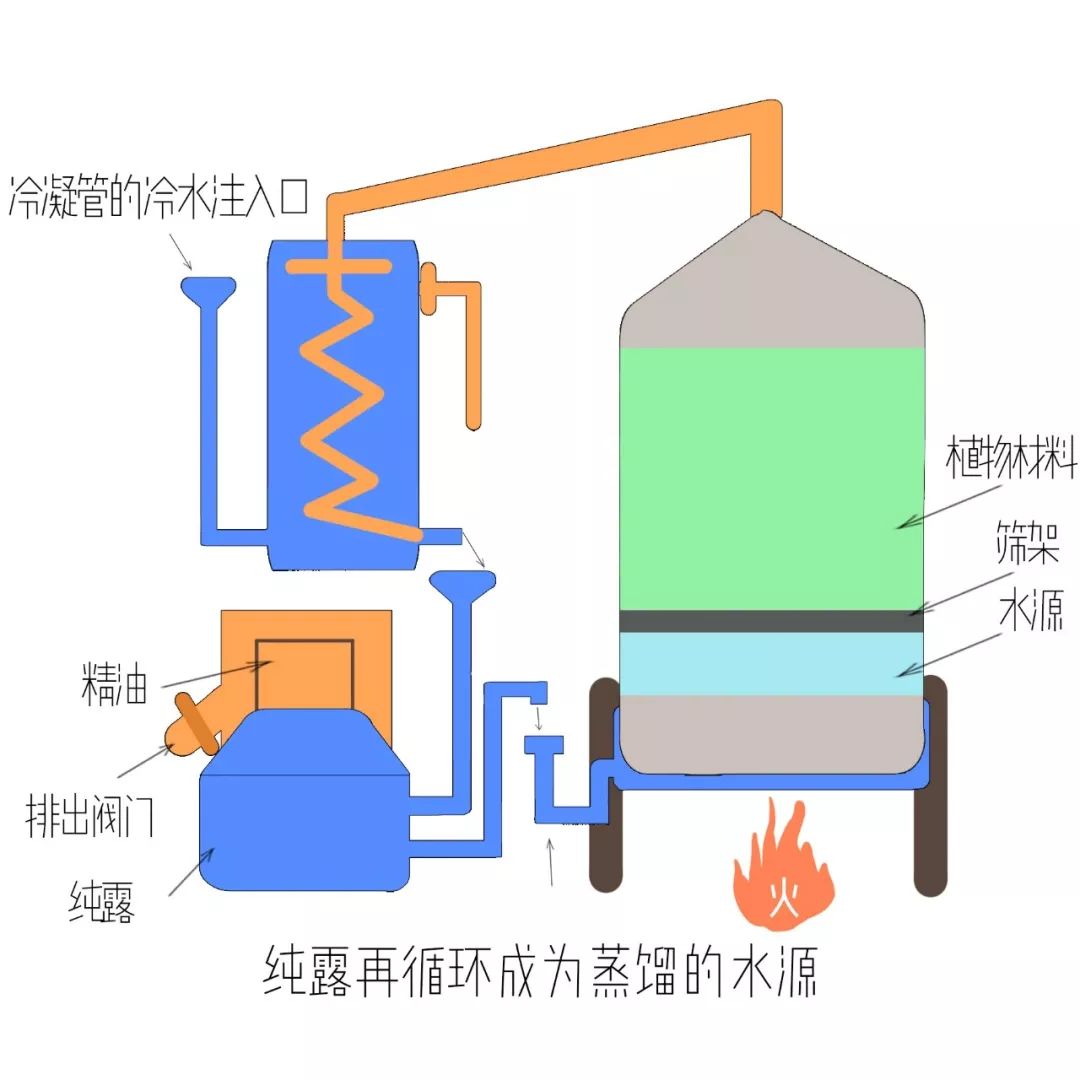 精油入门必备护肤品,平价单方精油推荐面部