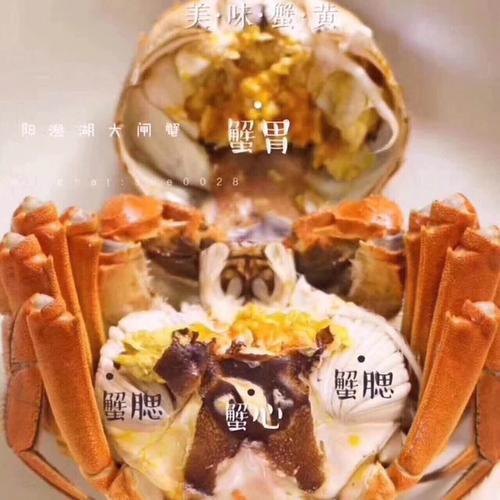 吃螃蟹需要处理哪些地方,螃蟹所有部位吃了有事吗