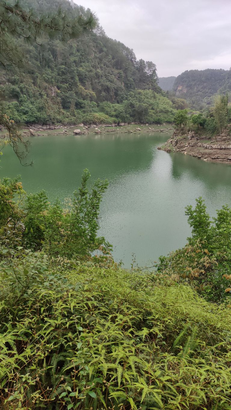 长沙水库钓鱼条件最好的地方,长沙哪里好钓鱼攻略