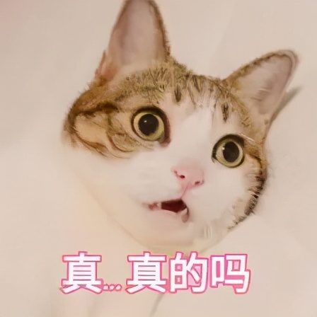 疫苗接种在行动我们一起打疫苗,我们一起打疫苗苗苗