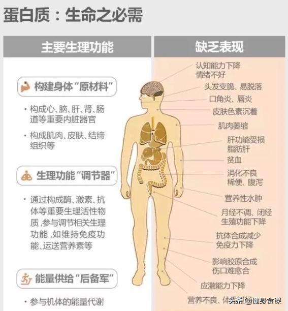 易建联喝蛋白质视频,易建联喝蛋白粉