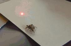 强光激光的神奇现象,20瓦灯没有3瓦亮