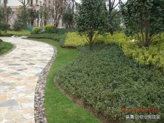 小区绿化日常养护工作内容,小区绿化养护多少钱一个平方