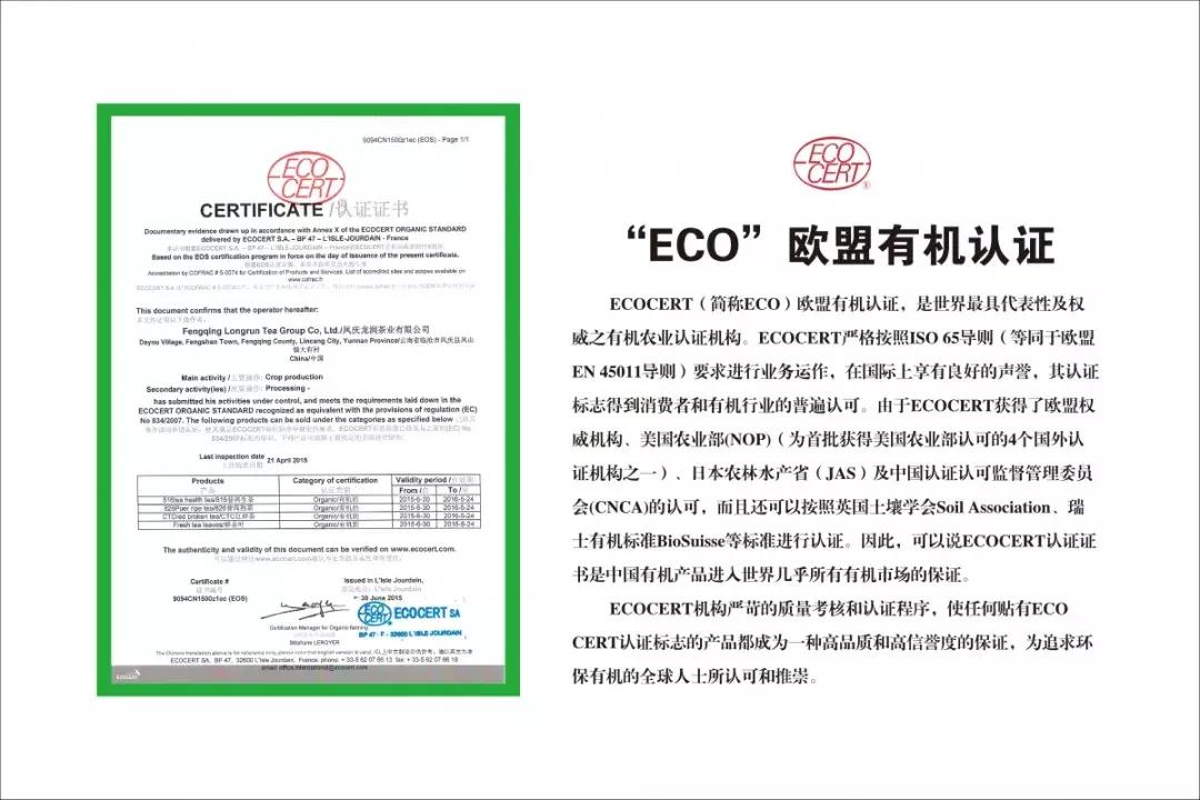 龙润集团年会,龙润集团投资一万亿