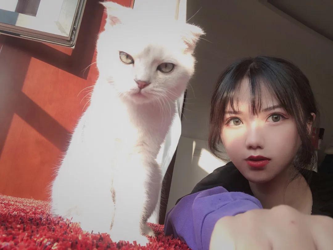 和宠物交流说什么,和宠物谈恋爱