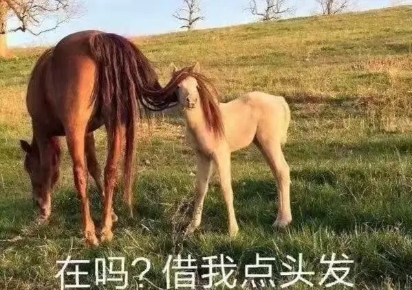 古代头发那么长会脱发吗,古人脱发了怎么办