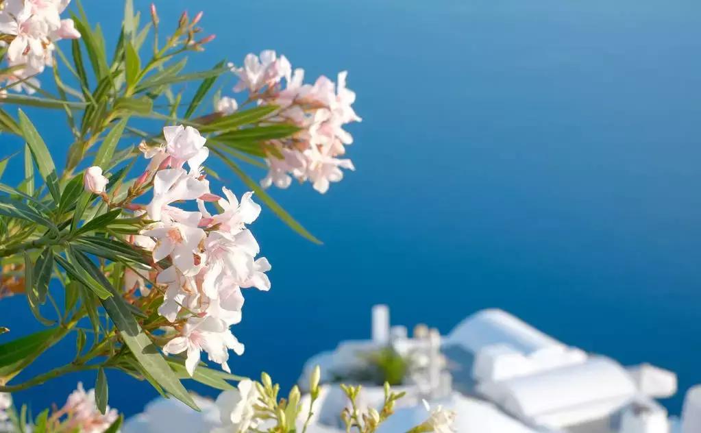 希腊移民｜谨防移民投资陷阱，你想知道的问题都在这了