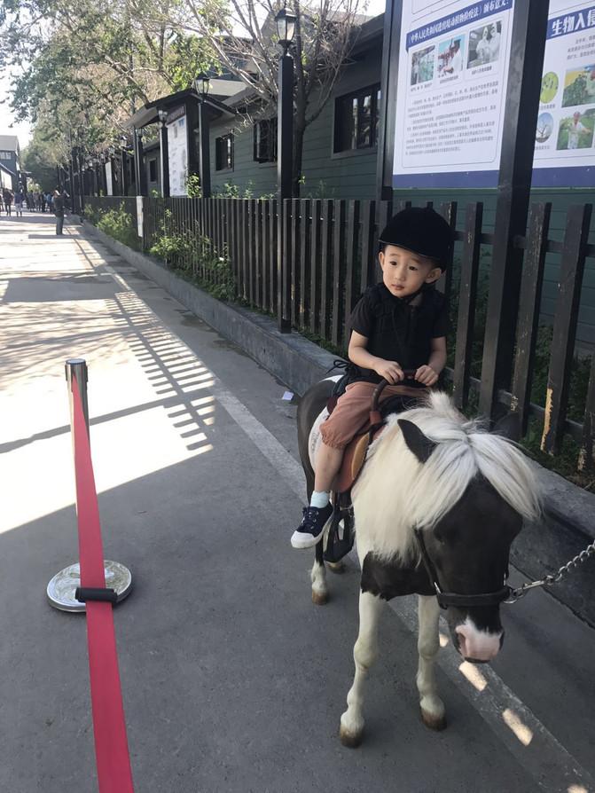 出游大美新疆第十四天,郑州周边2-3天短途旅游亲子11月