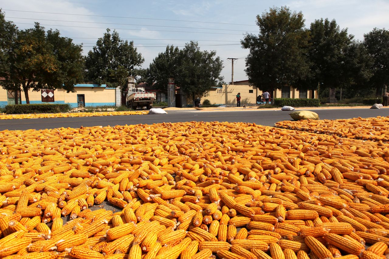 美国操控粮食价格,美国4大粮商与中国打粮食战