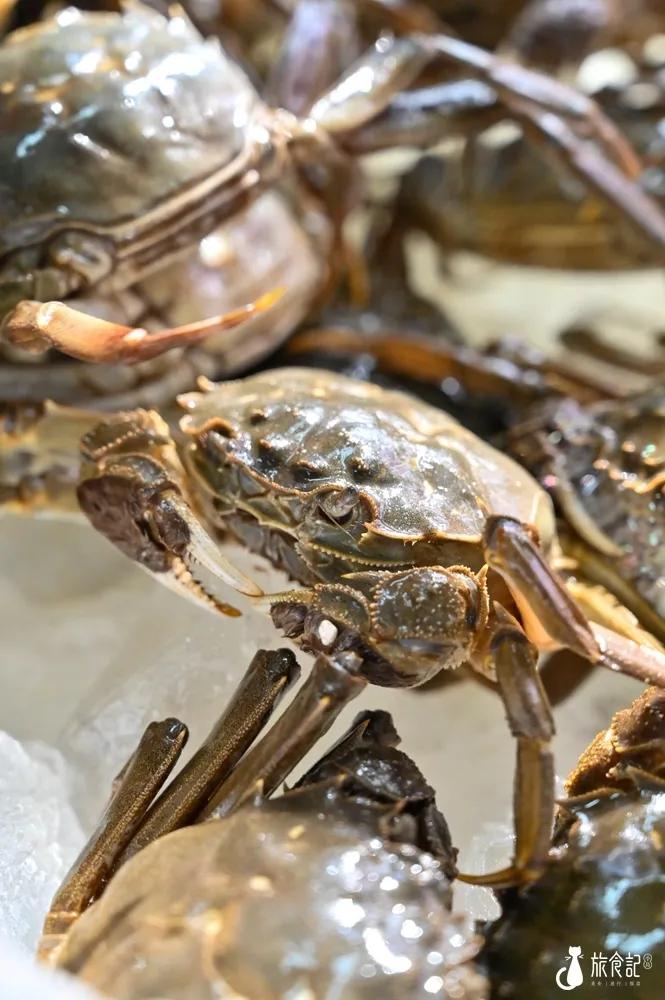 秦皇岛海浪花天桥海鲜批发市场,秦皇岛海浪花批发市场在哪