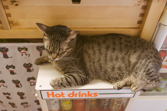 伏见稻荷大社怎么去清水寺,伏见稻荷大社到清水寺远吗