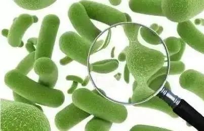 如何正确的选择益生菌,如何选择益生菌才是最好的