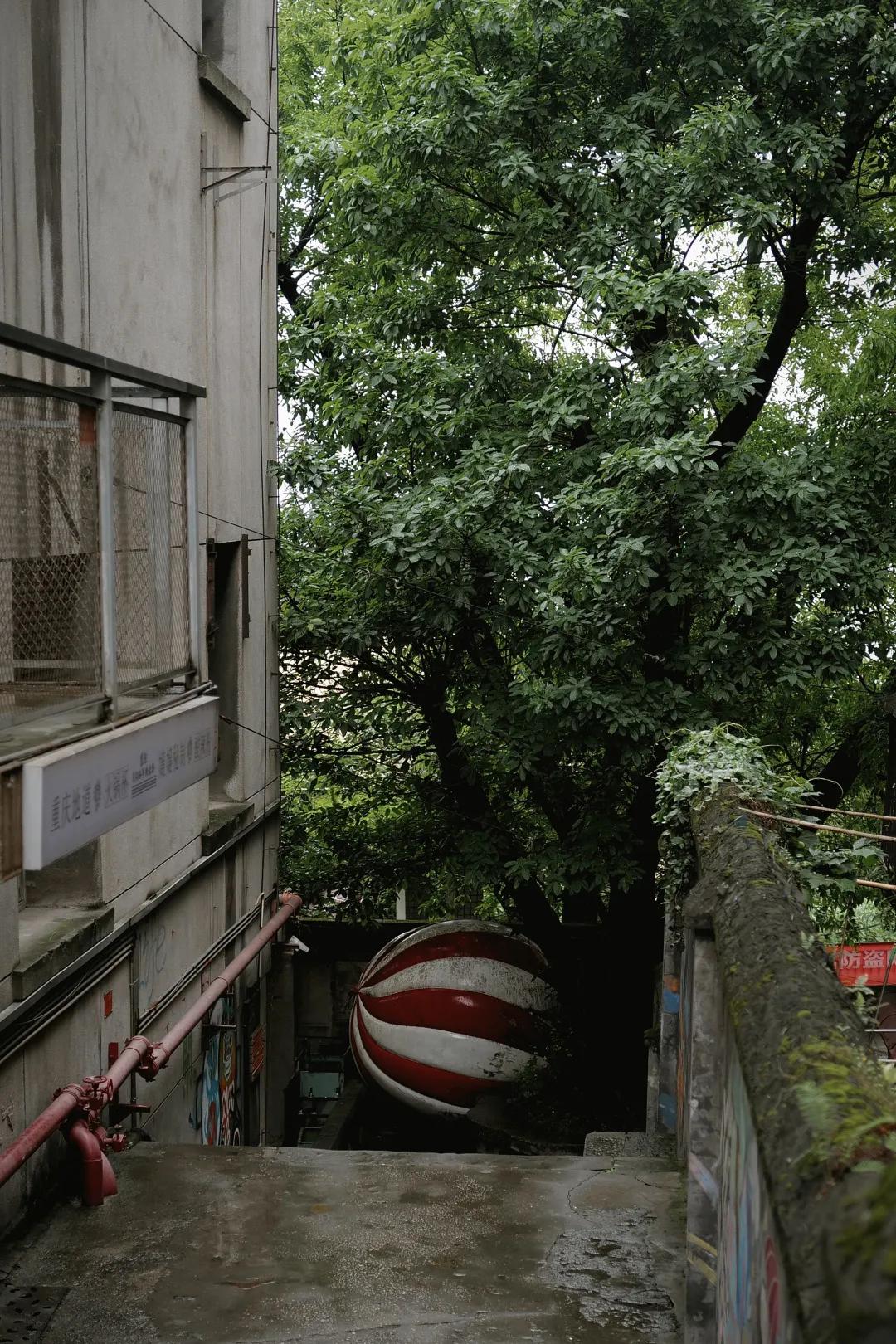 重庆哪几个月不适合旅游,重庆到底值不值得去旅游