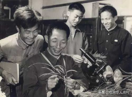 老人哭泣送别袁隆平,夫人泪目送别袁隆平