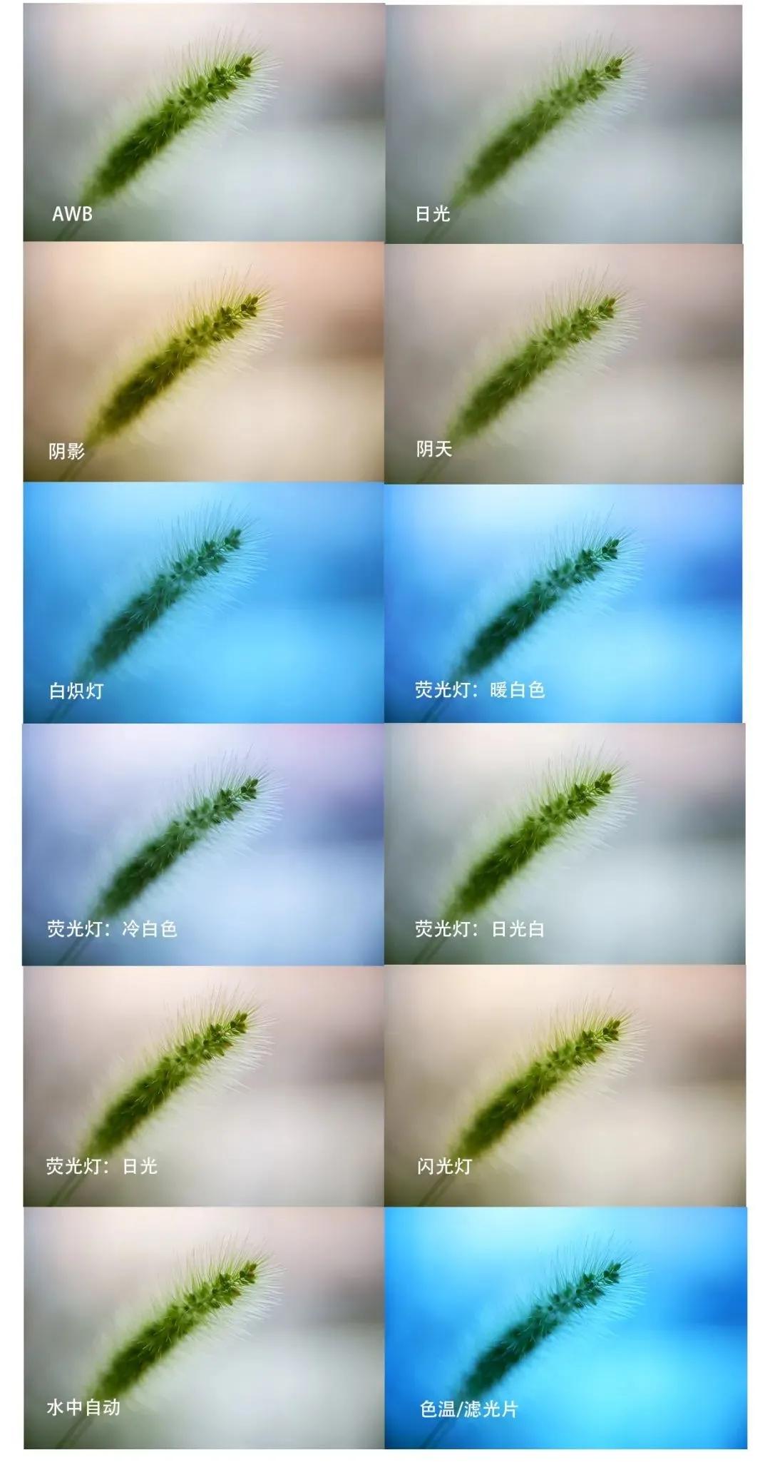 索尼7s相机拍视频跟不上焦,索尼ilce7s使用教学