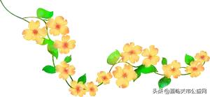 定了！终于定下了！2019年五大赛事即将点燃钢城嘉峪关