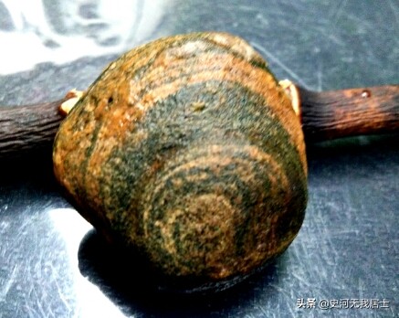 雅石图鉴真品欣赏,中国雅石图鉴大全