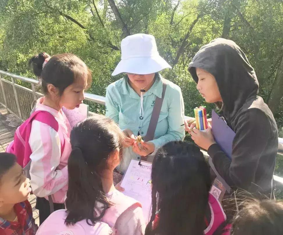 凤凰学校招生简章,凤凰学校招生公告