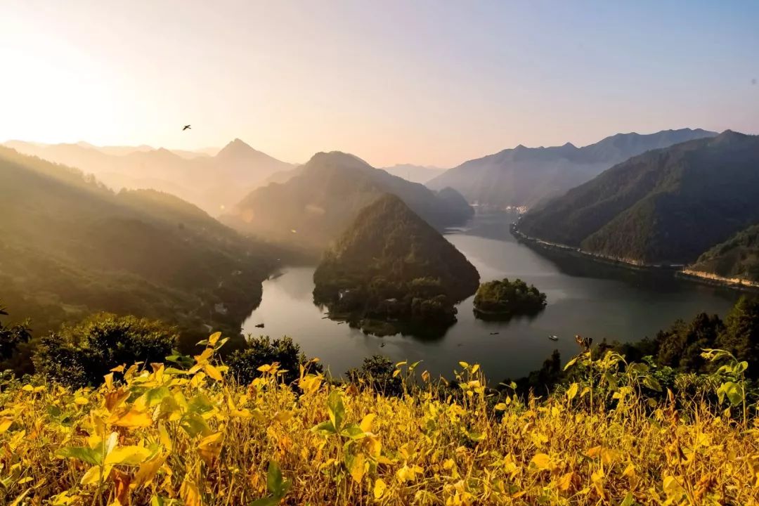 秘境蜘蛛恐惧症任务,破碎之地秘境剧毒蜘蛛怎么打