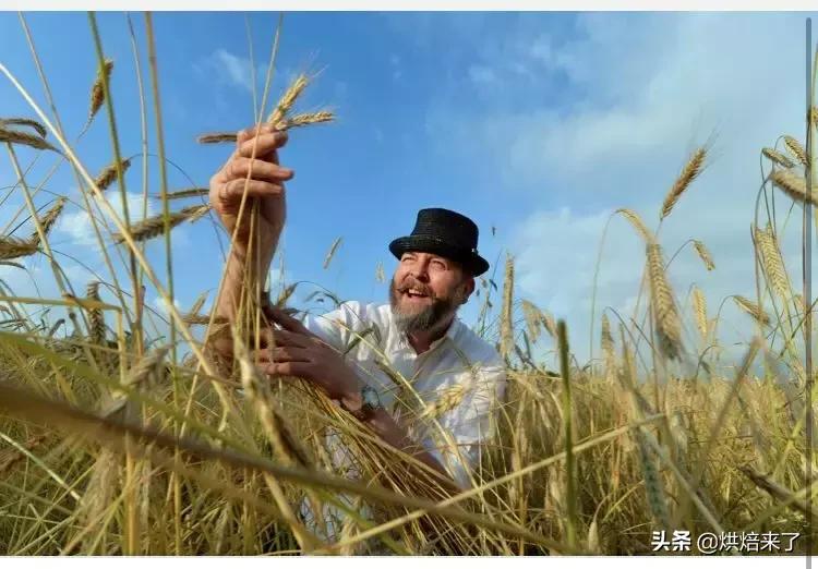 德国黑麦酸面包 (德国黑麦酸面包怎么吃)