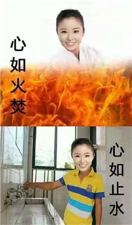 成语表情包照片,成语表情包动态图片