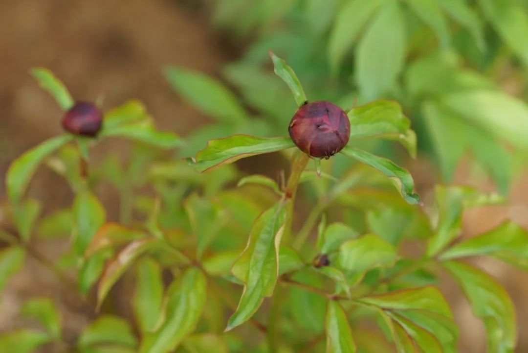 pr公关需要具备的专业知识技能,pr公关职场指南