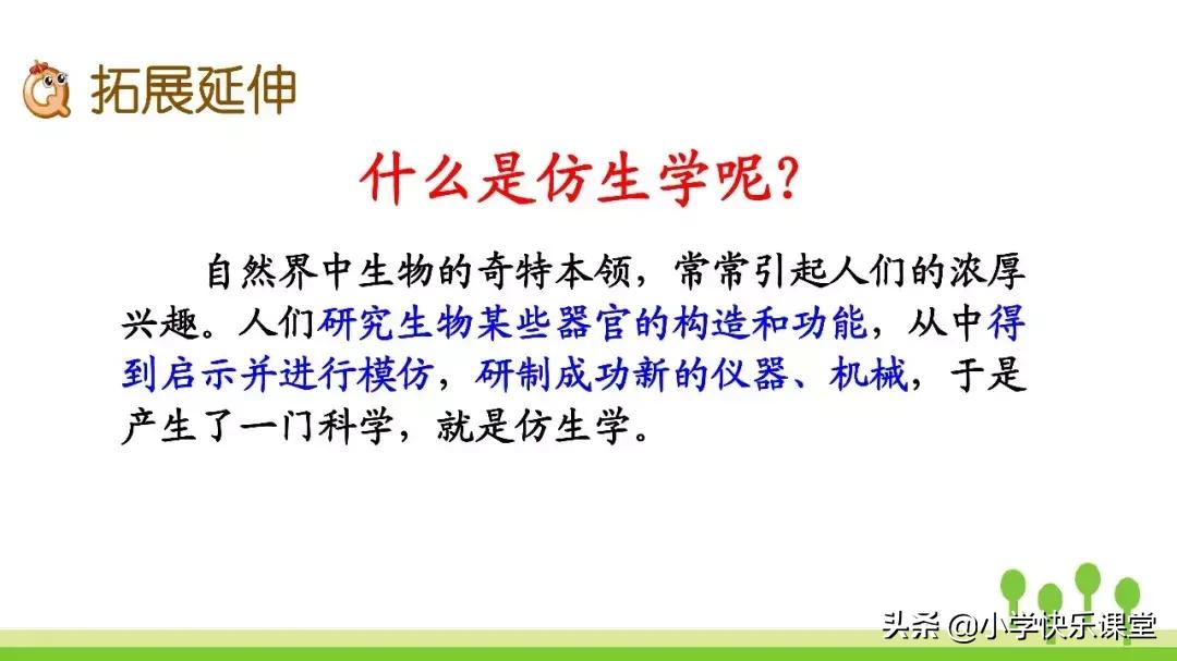 四年级上册语文蝙蝠和雷达课后题,部编版四年级上册语文蝙蝠和雷达