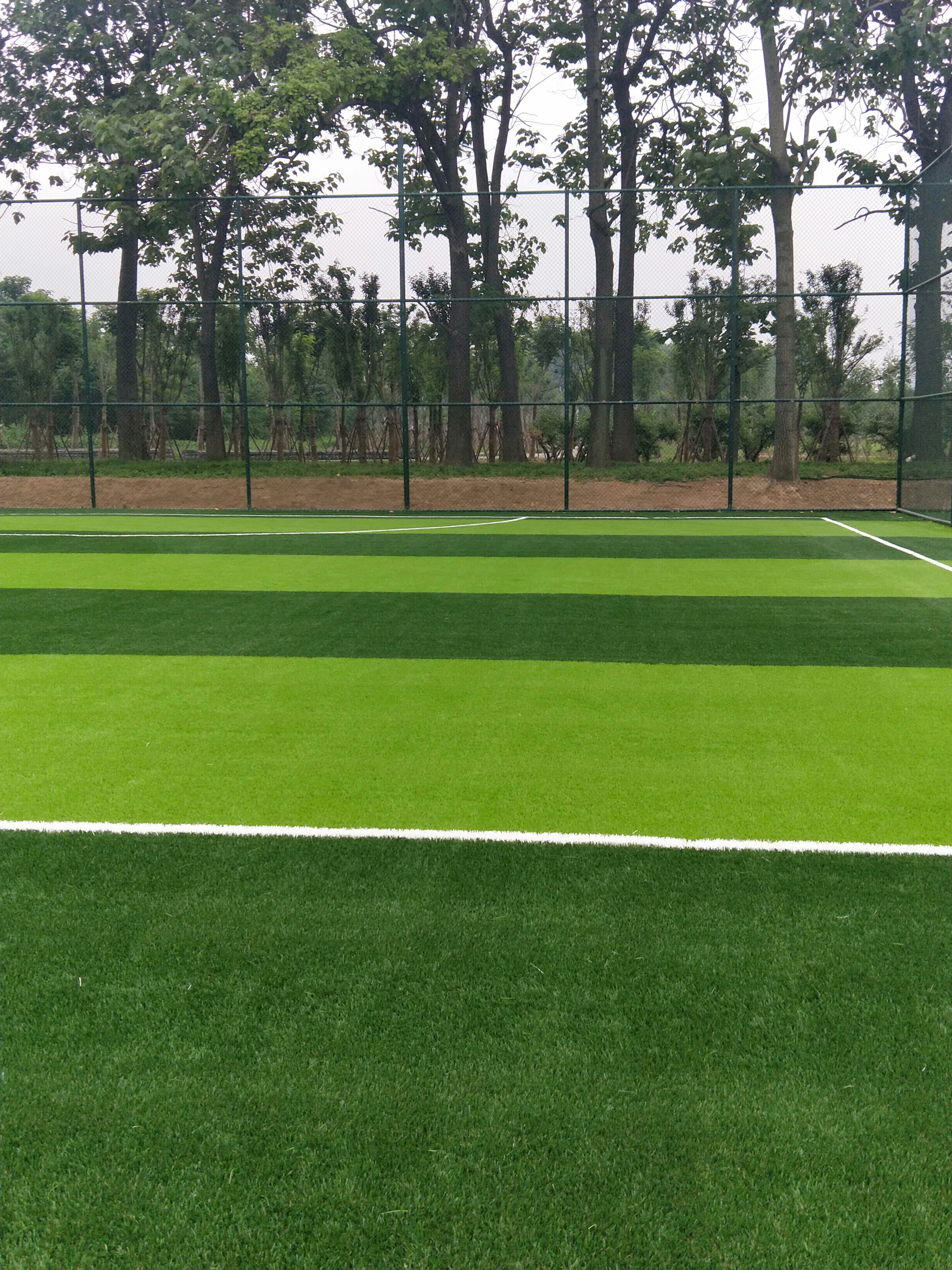 中学生每日跑步超过1200米正常吗,如何小学生800米跑步快而不累