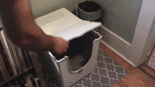 猫咪乱尿科学解释,猫咪乱尿是泌尿系统出问题了吗