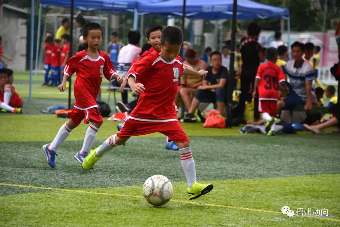 足球训练营公益,足球训练公益项目