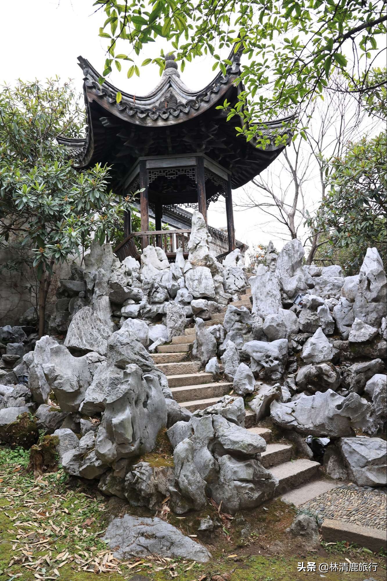 娓呮湯鏈夊悕鐨勫瘜浜屼唬,鏄庢竻缃戠孩寤虹瓚