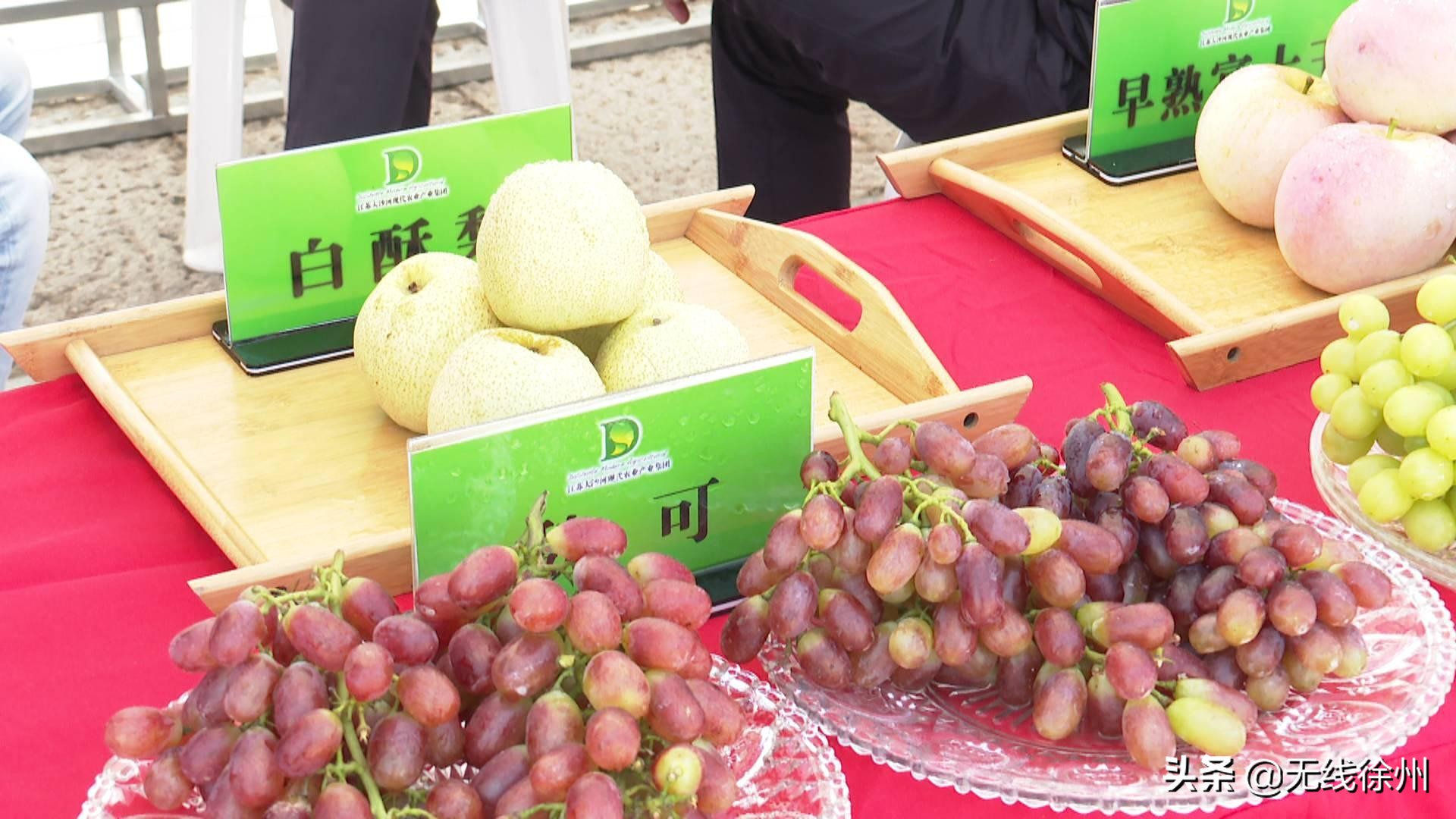 牢记重托庆丰收：2019徐州品牌农业口碑榜发布