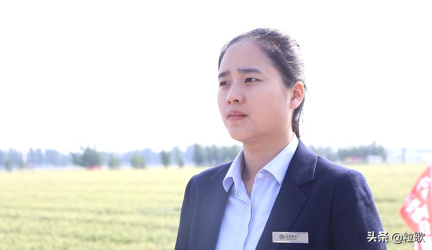 小麦用水溶肥提质增产,小麦防虫防病八合一高产水溶肥