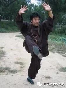 大成拳基本功法,大成拳功法总集图解