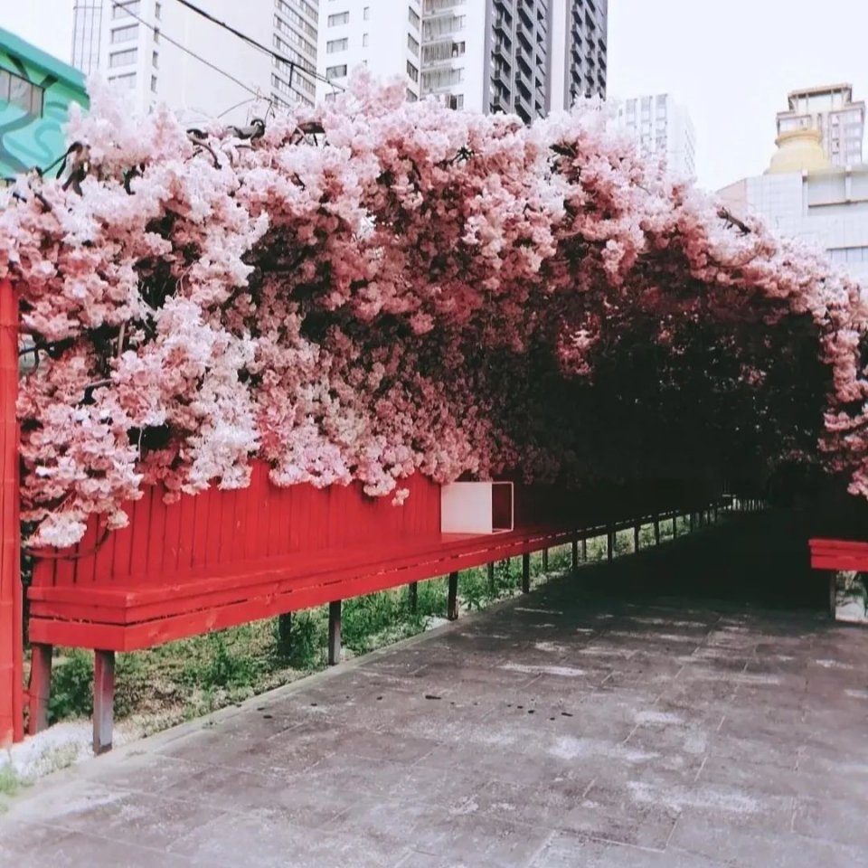 沈阳夜市哪个最值得去,盘点沈阳最值得去的3大夜市