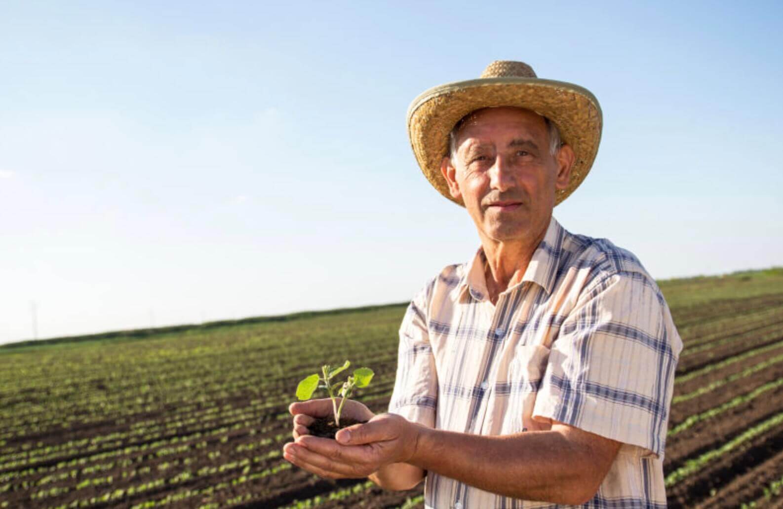 日本县民税和市民税,日本有哪些杂税