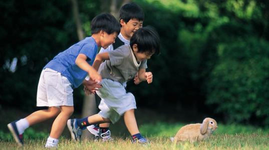 脑神经专家课程,脑神经科学与教育