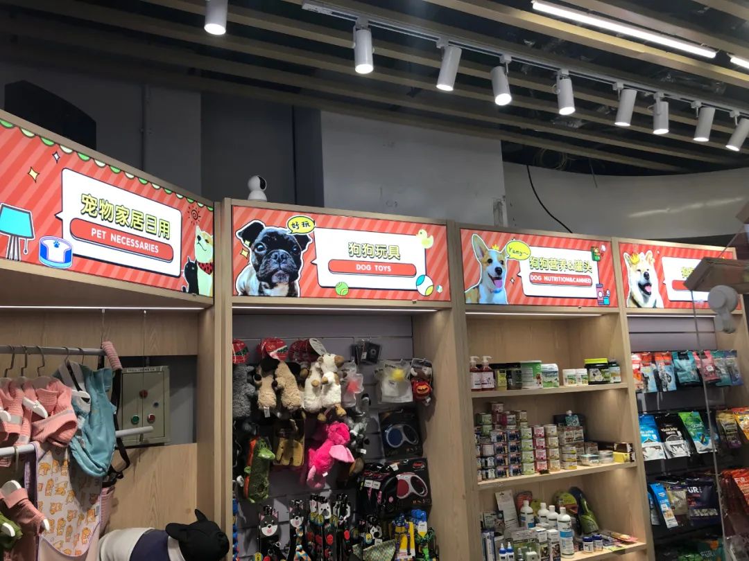 靠十平米小店铺月挣10万,10平米店做什么可以月入过万