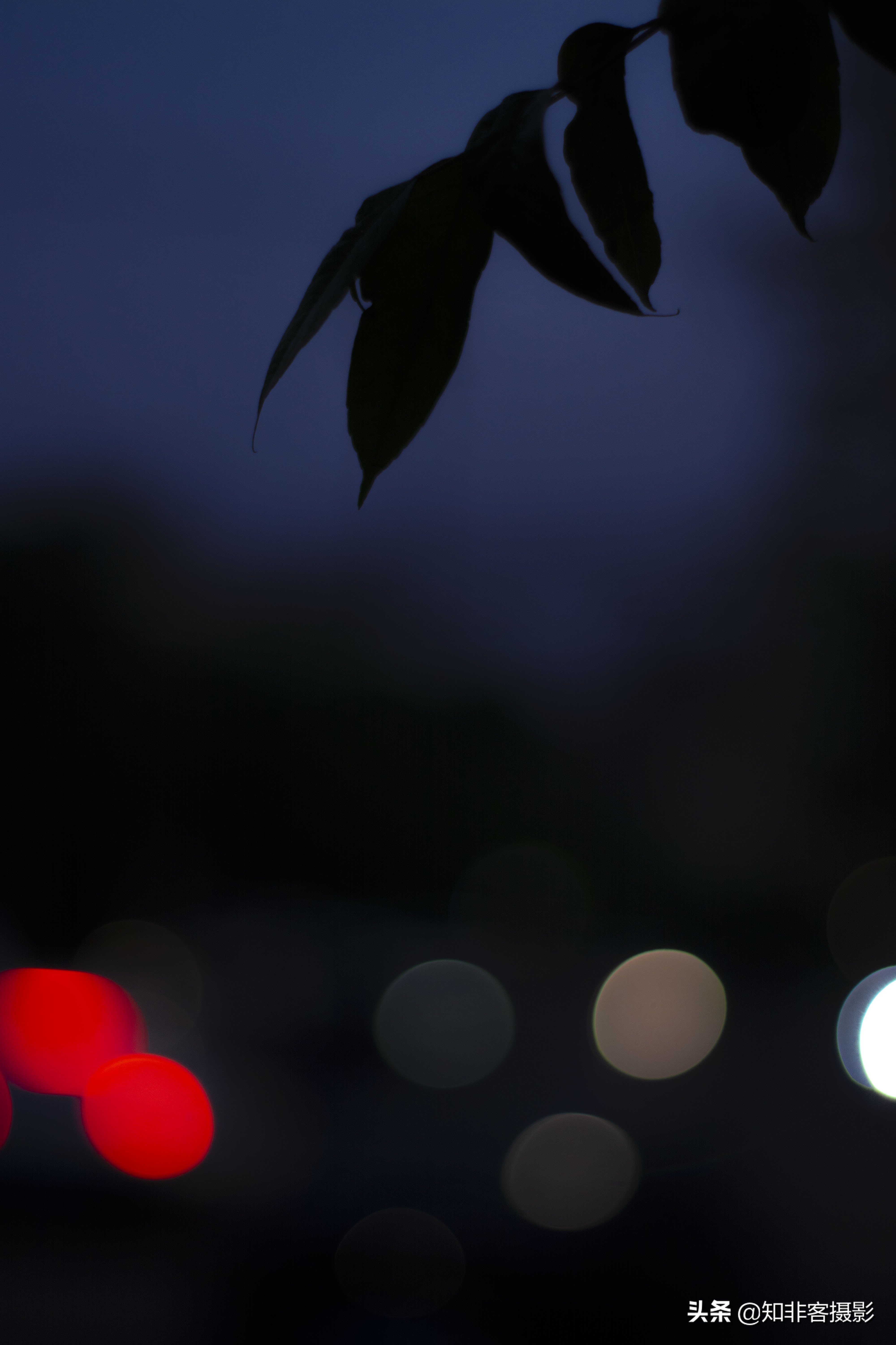 100元m43大光圈镜头推荐,50mm1.7定焦镜头怎么样