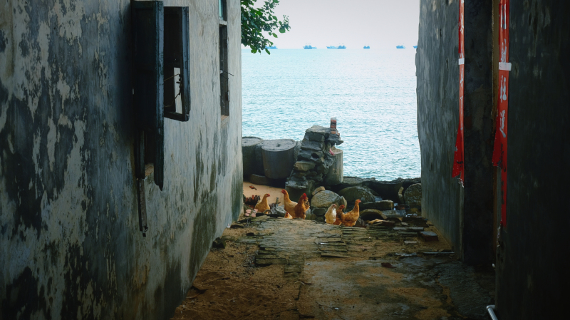 广东湛江旅游攻略赶海,湛江海边旅游攻略推荐地方